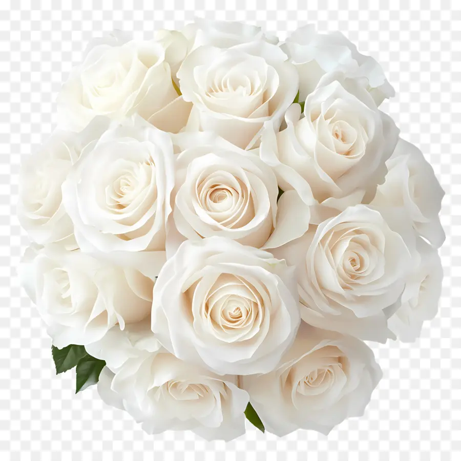 Bouquet De Mariage，Roses Blanches PNG