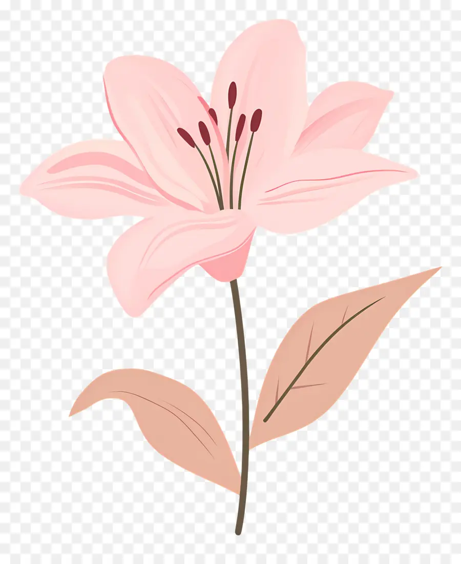 Fleur De Lys Rose，Fleur Rose PNG