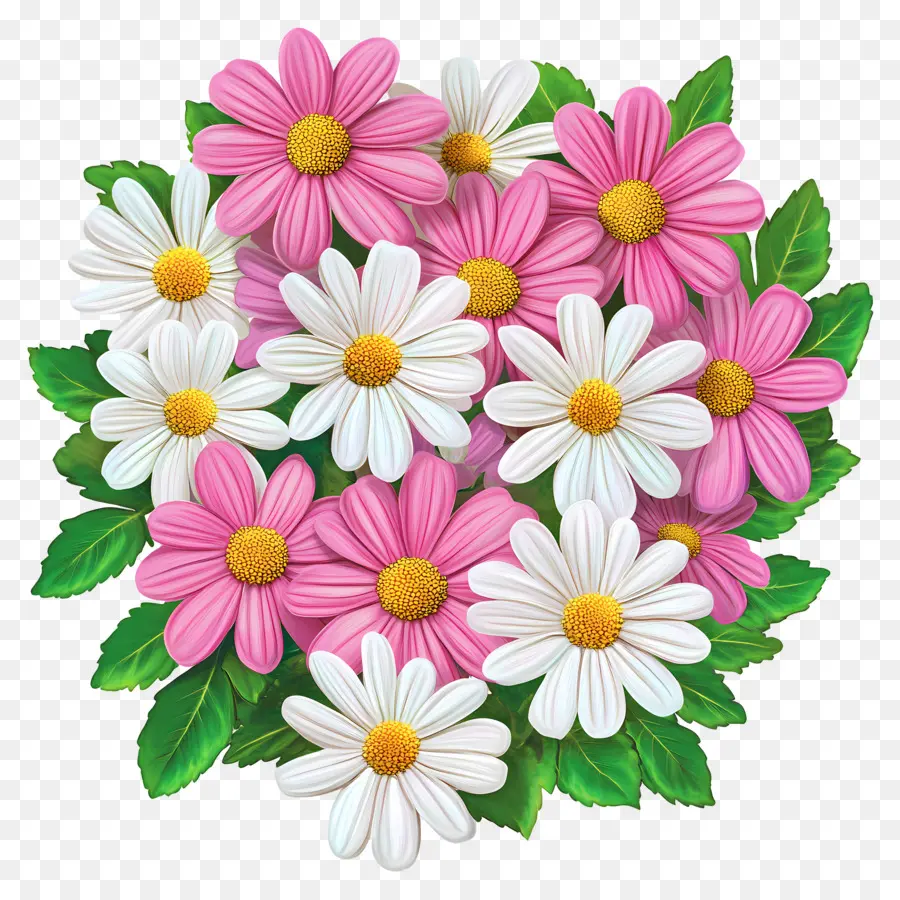 Bouquet De Marguerites，Fleurs Roses Et Blanches PNG