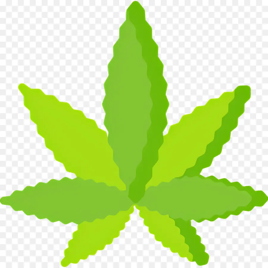 Feuille De Cannabis，Feuille Verte PNG