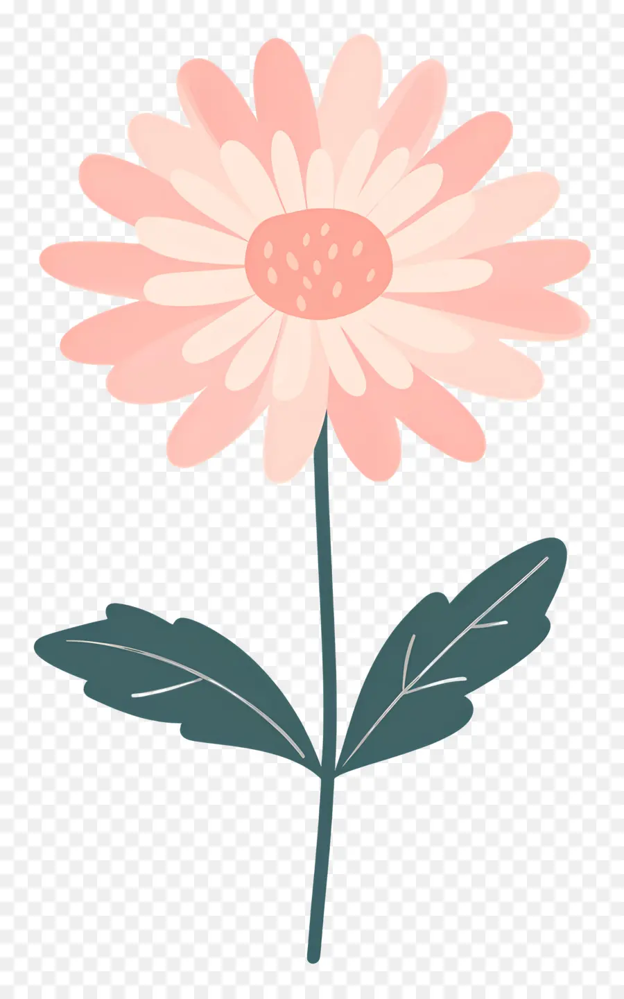 Fleur De Chrysanthème Rose，Fleur Rose PNG