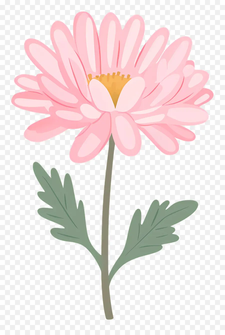 Fleur De Chrysanthème Rose，Fleur Rose PNG