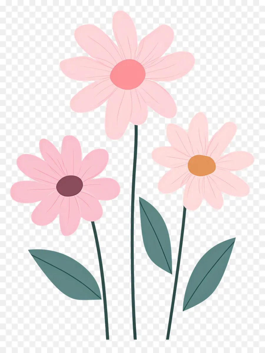 Fleurs De Marguerite Rose，Fleur Rose PNG