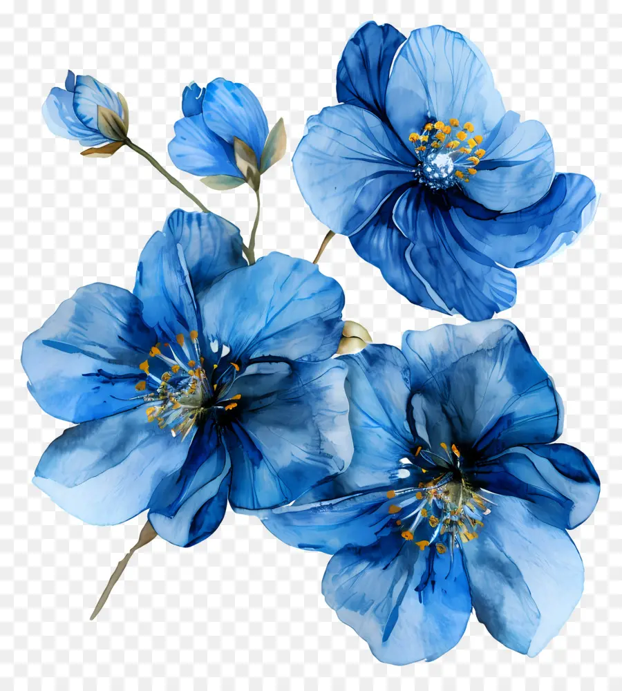 Fleurs Bleues Aquarelles，Fleurs Bleues PNG