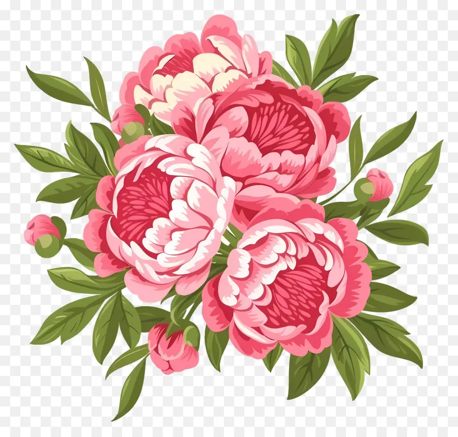 Bouquet De Pivoines，Fleurs De Pivoine PNG