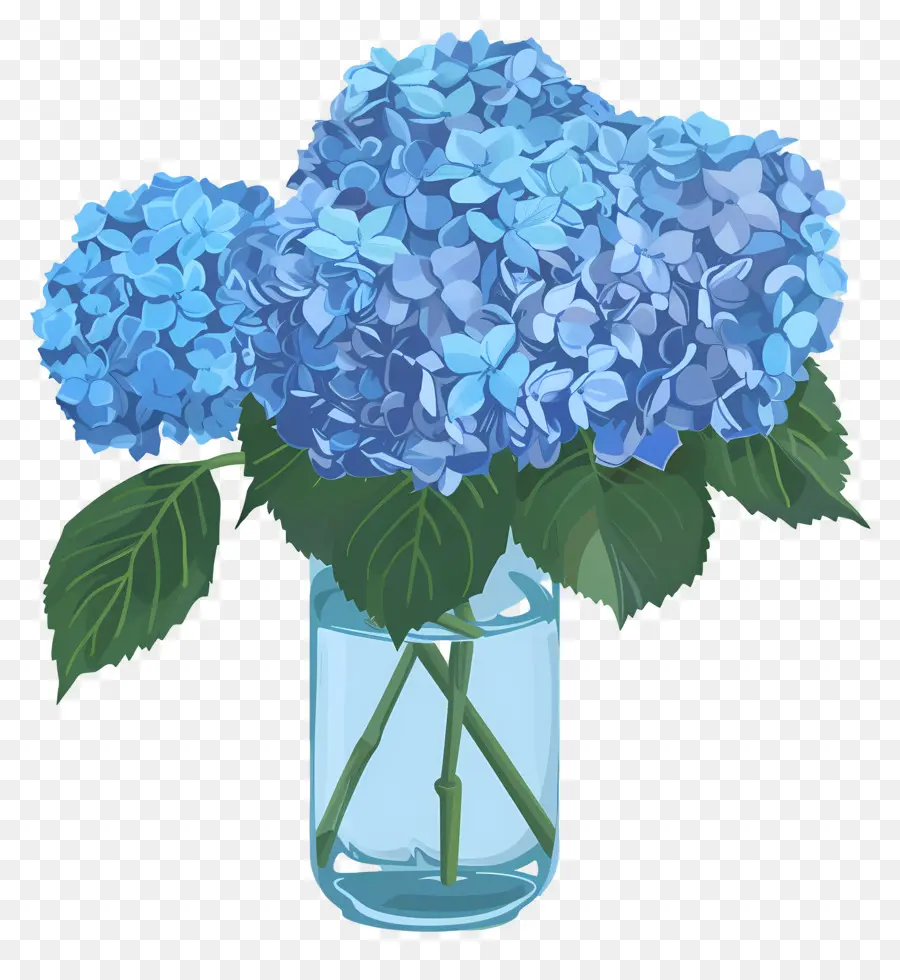 Fleur D'hortensia Bleue，Fleurs D'hortensia PNG