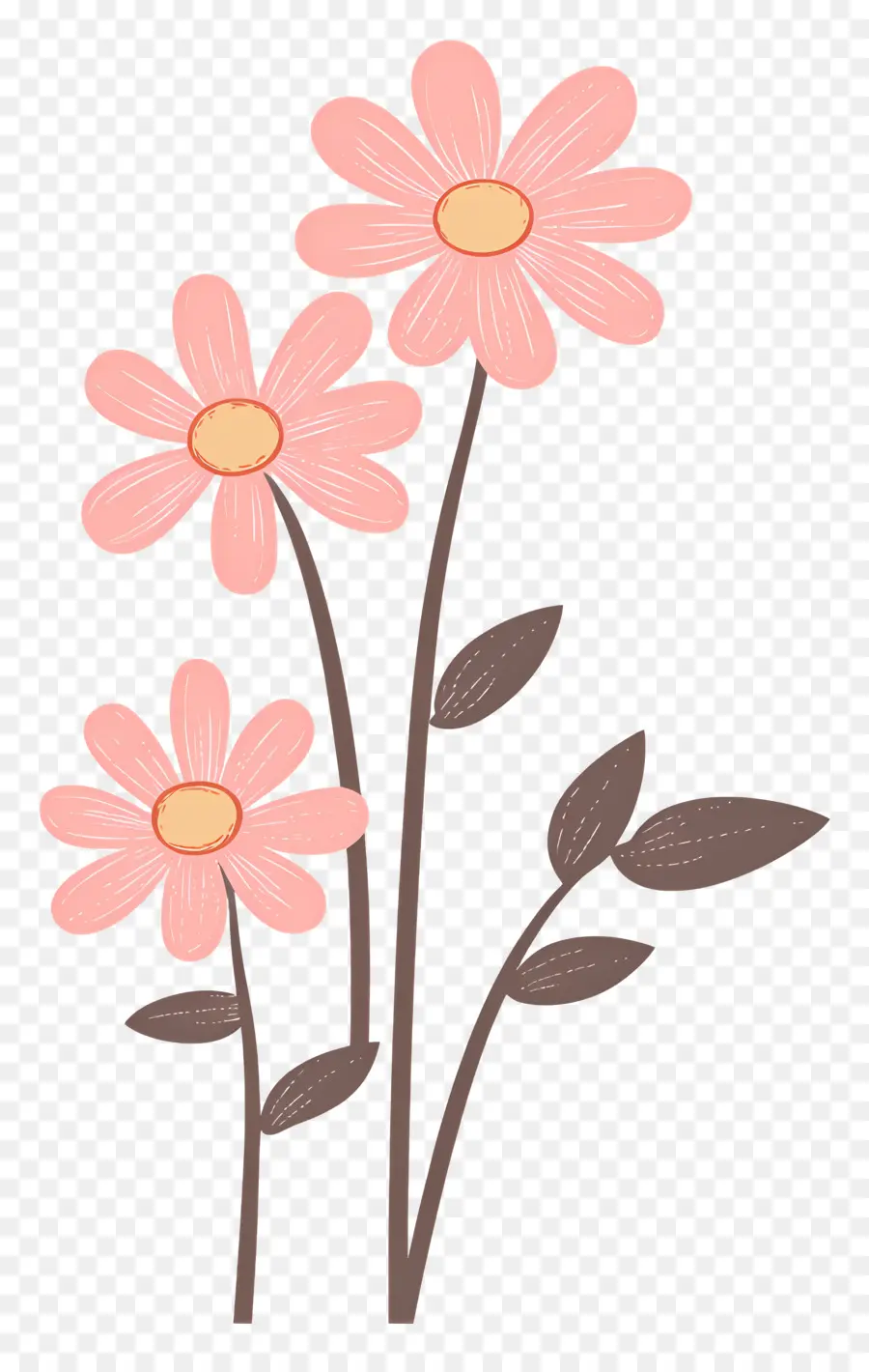 Fleurs De Marguerite Rose，Fleurs Roses PNG