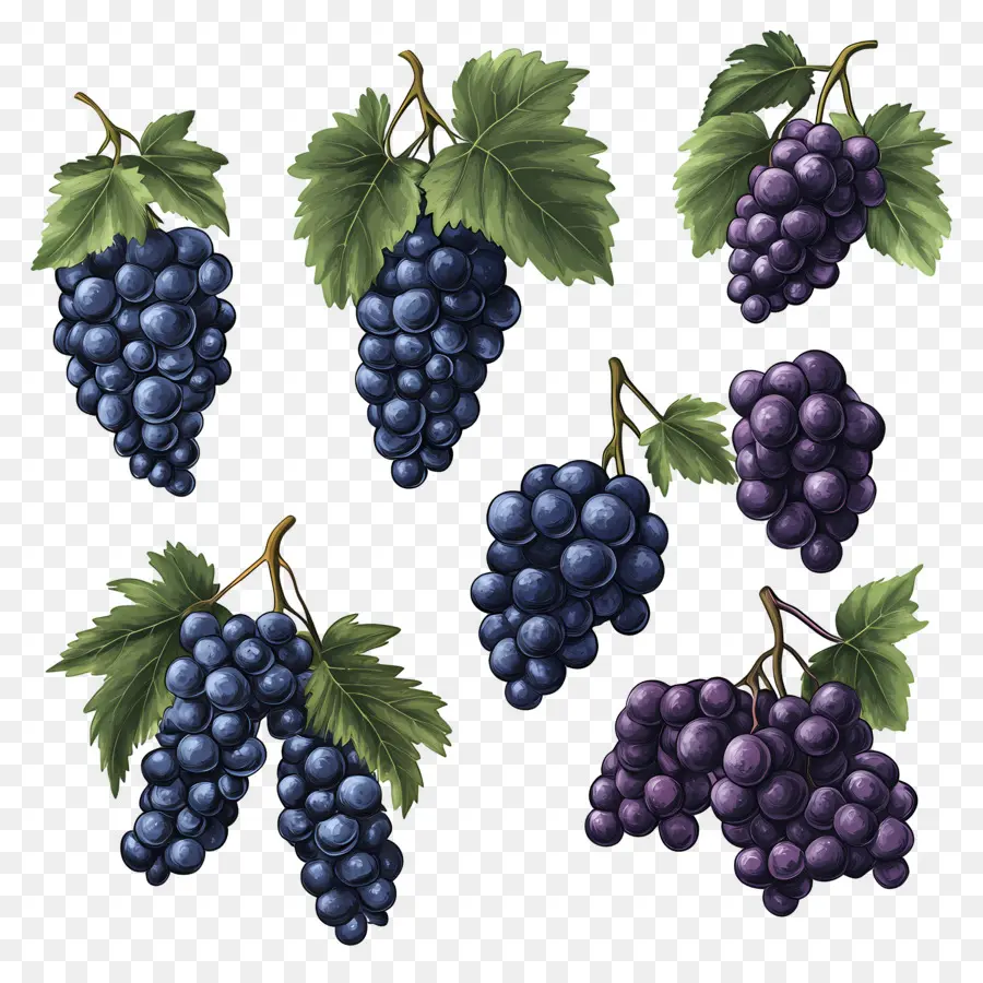 Grappe De Raisin，Raisins PNG