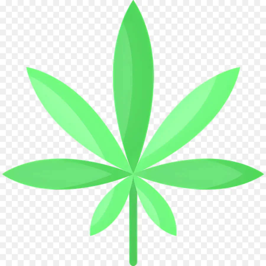 Feuille De Cannabis，Feuille PNG