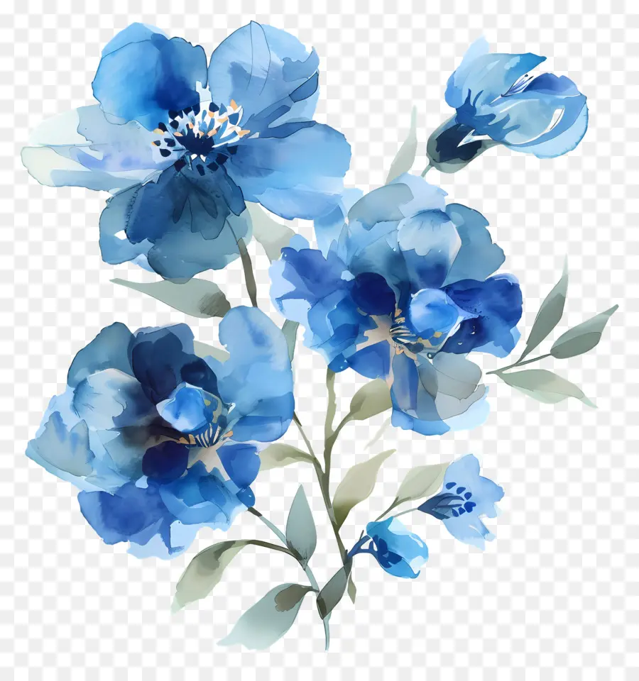 Fleurs Bleues Aquarelles，Fleurs Bleues PNG