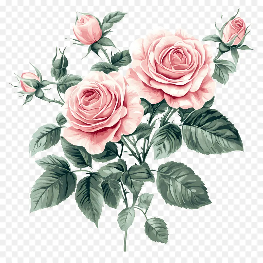 Bouquet De Roses Roses，Rose Rose PNG