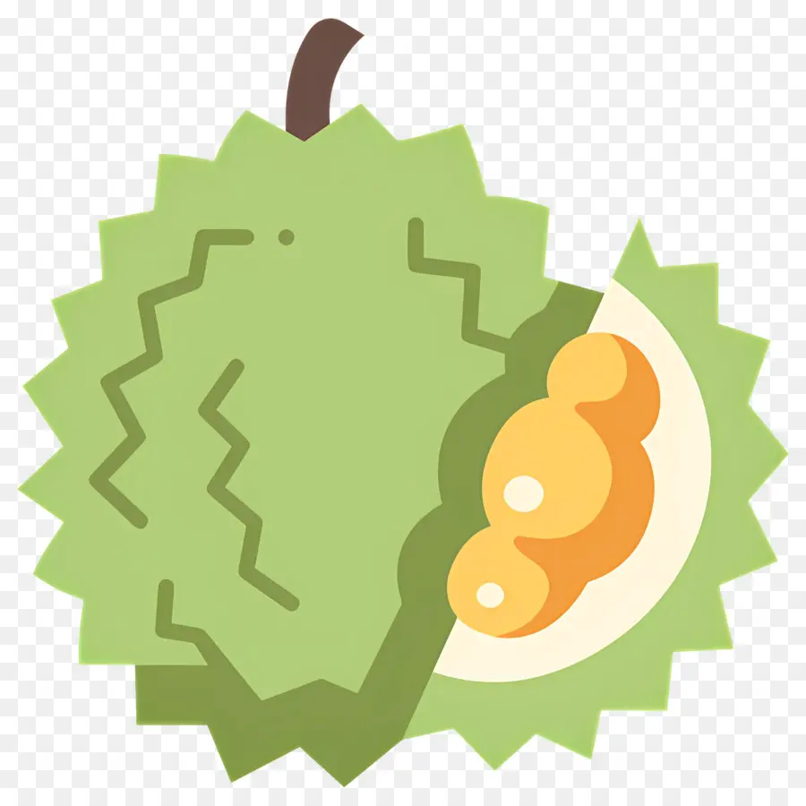 Durian，Durian Vert PNG