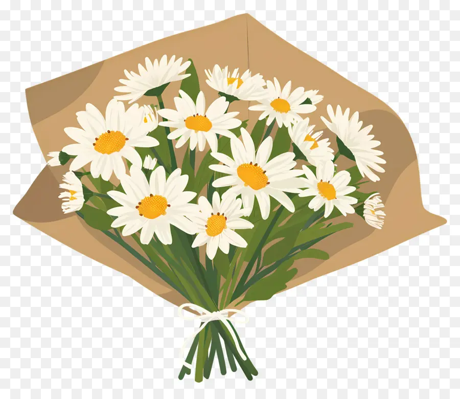 Bouquet De Marguerites，Marguerites Blanches PNG