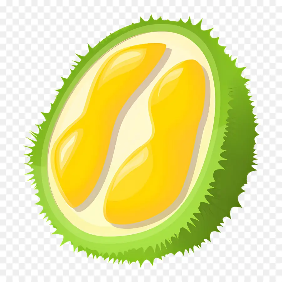 Durian，Fruits Durian PNG