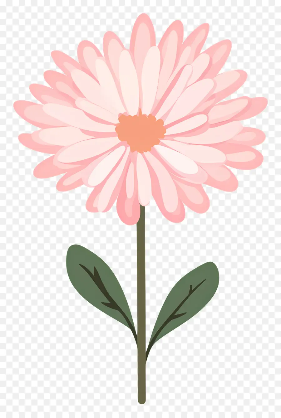 Fleur De Chrysanthème Rose，Fleur Rose PNG