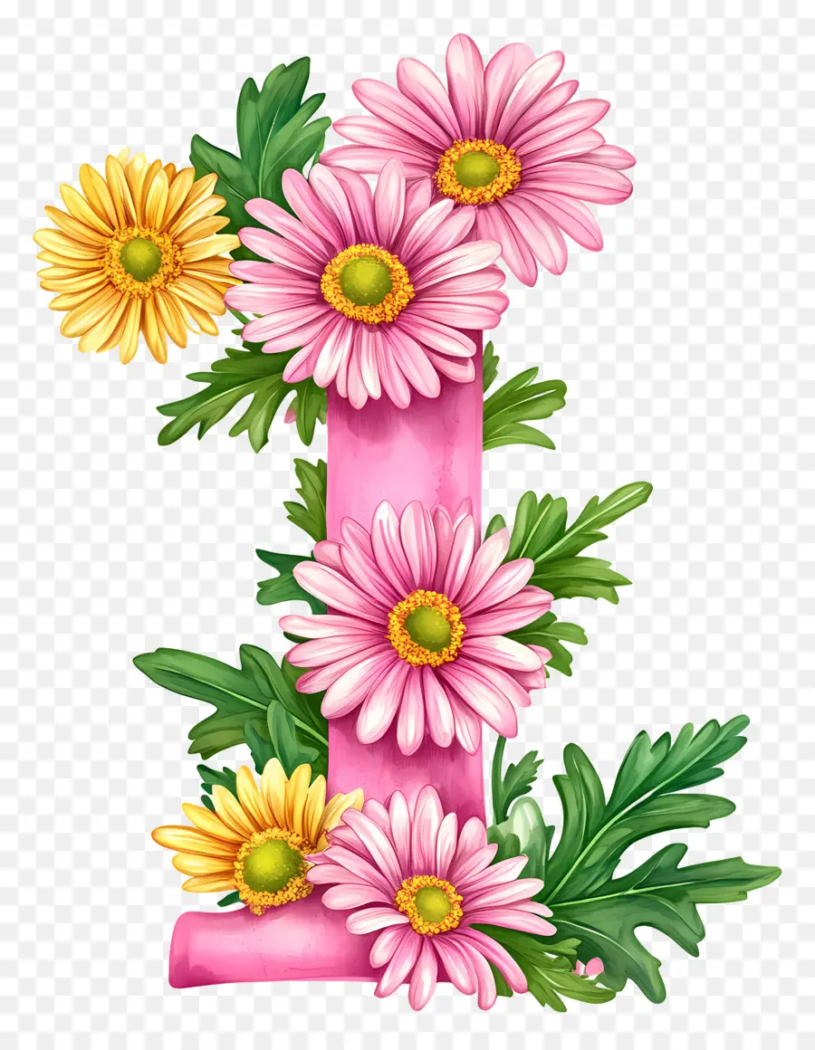 Fleurs De Marguerite，Numéro Un PNG