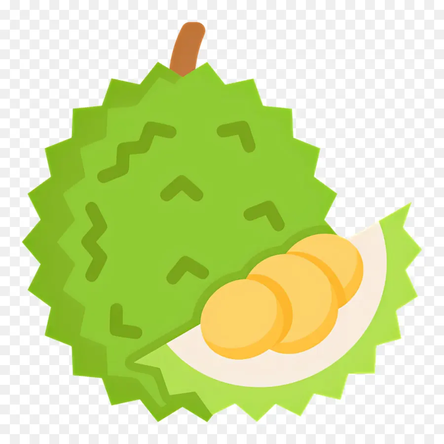 Durian，Durian Vert PNG