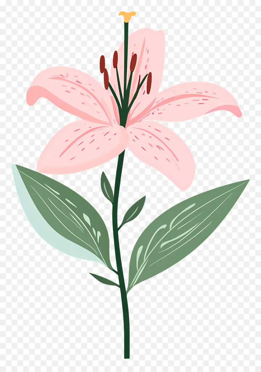 Fleur De Lys Rose，Fleur Rose PNG