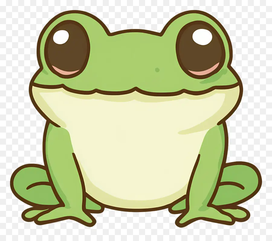 Grenouille Kawaii，Grenouille Verte PNG