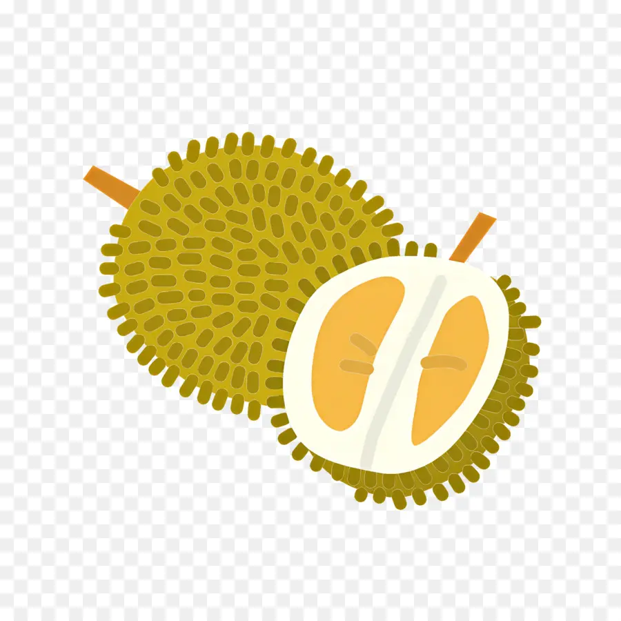 Durian，Fruits Durian PNG