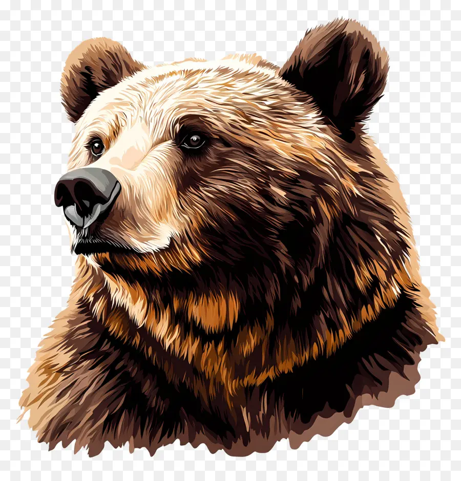 Grizzly，Ours PNG