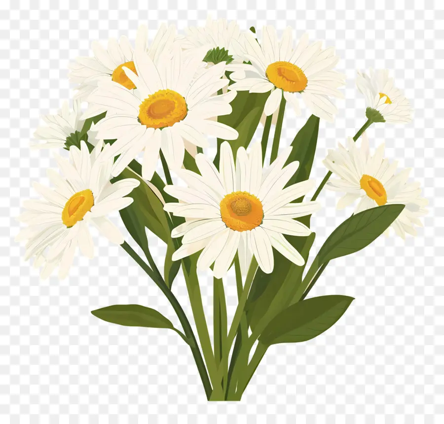 Bouquet De Marguerites，Fleurs PNG