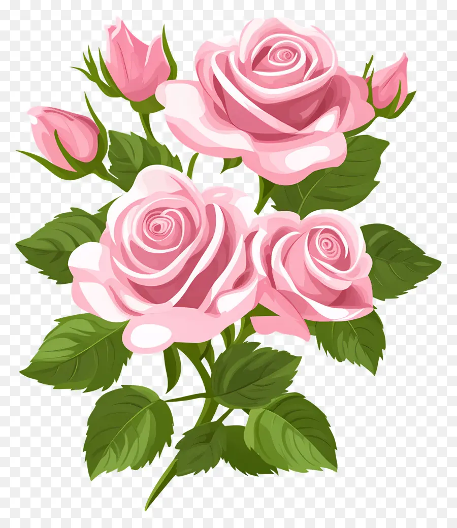 Bouquet De Roses Roses，Rosiers PNG