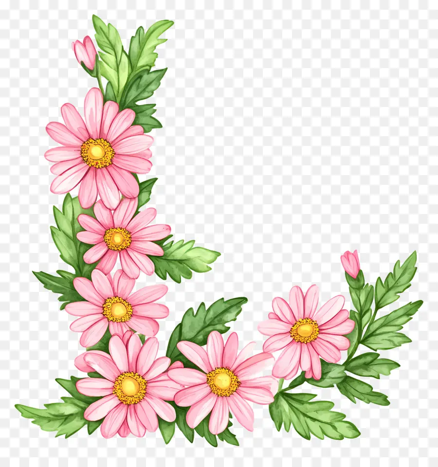 Fleurs De Marguerite，Fleurs Roses PNG