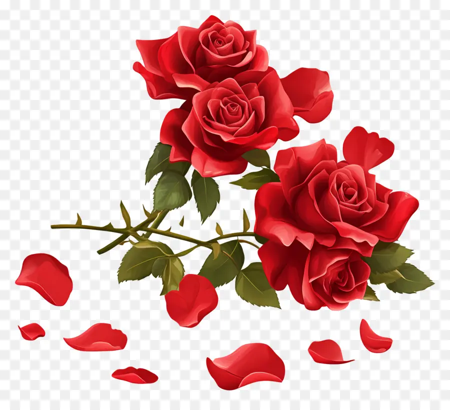 Bouquet De Roses，Roses Rouges PNG