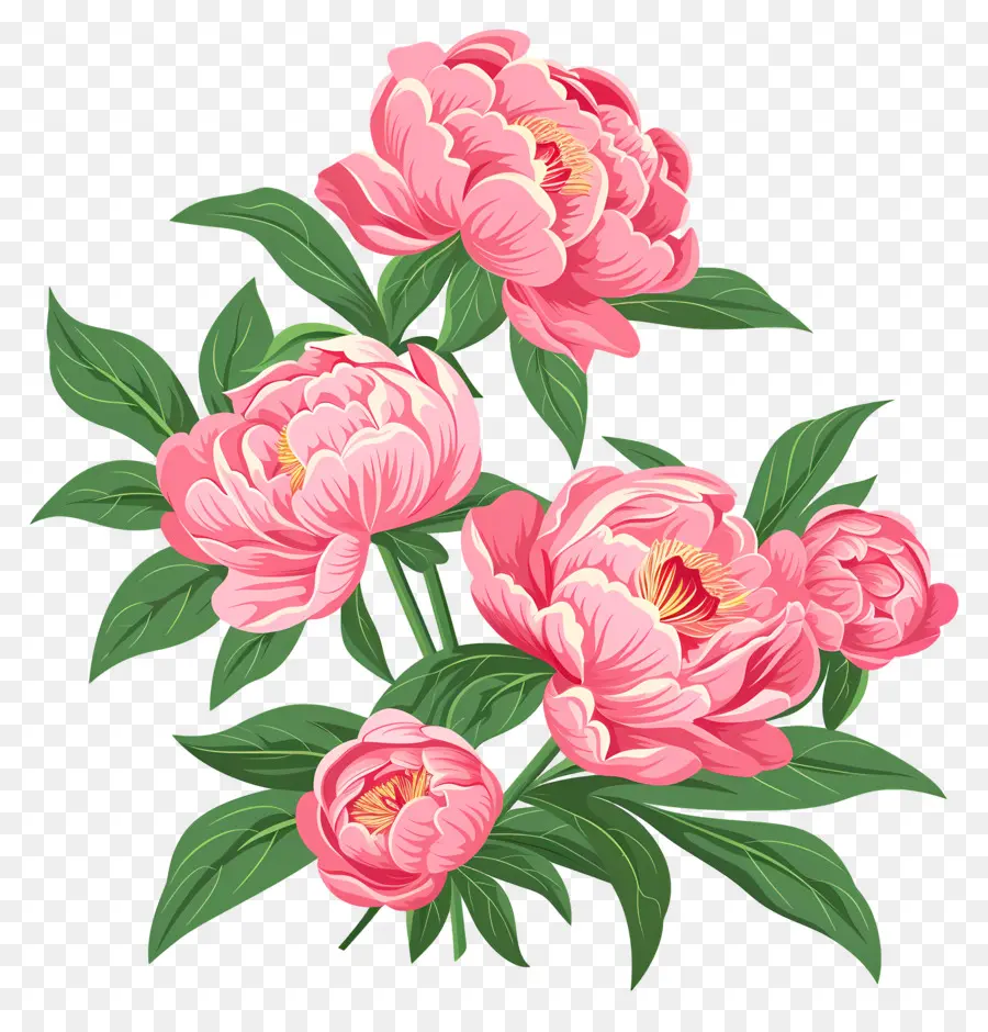 Bouquet De Pivoines，Fleurs Roses PNG