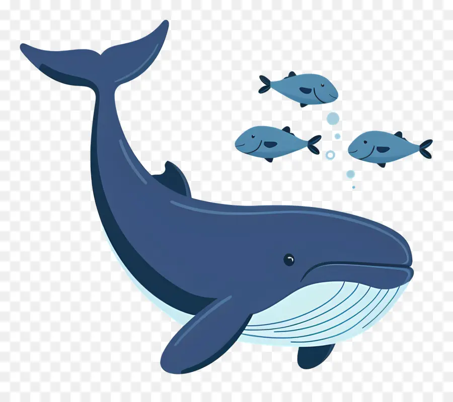 Baleine Et Poisson，Baleine PNG