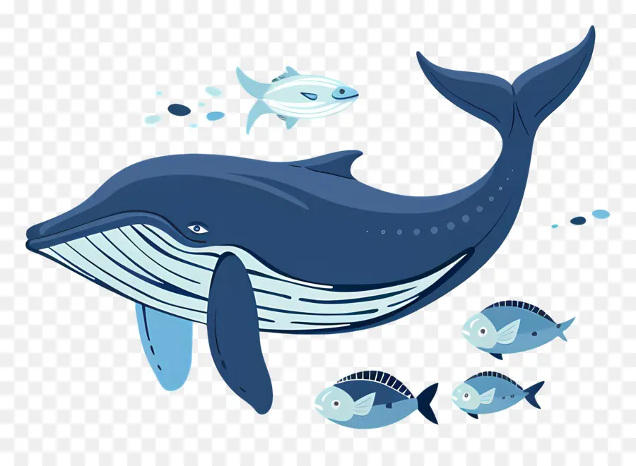 Baleine Et Poisson，Baleine PNG