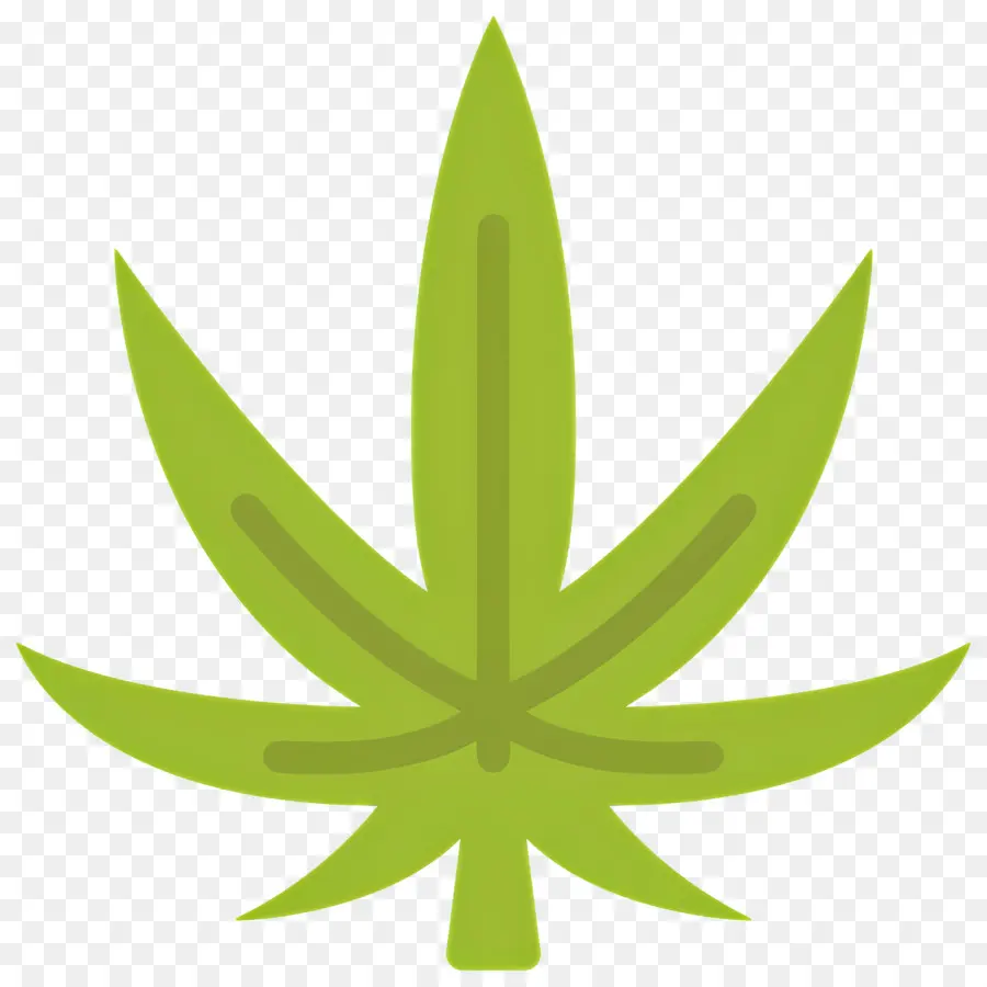 Feuille De Cannabis，Feuille PNG