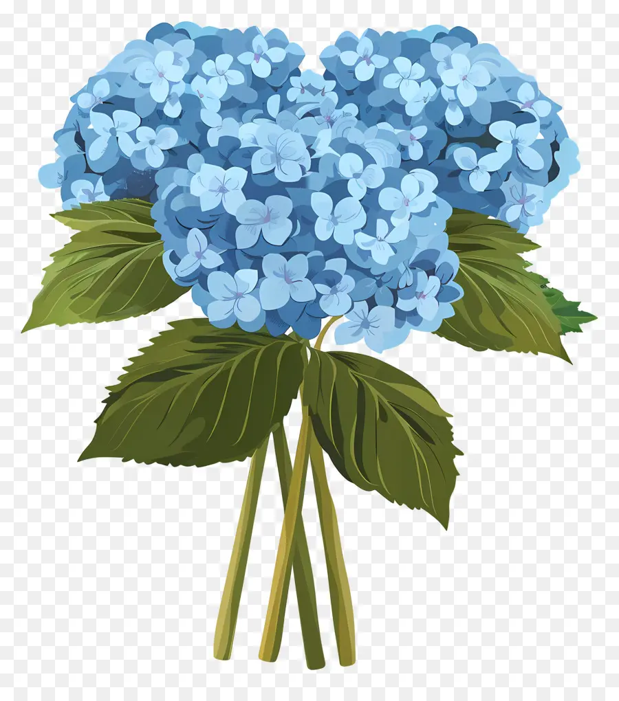 Bouquet D'hortensias，Hortensia Bleu PNG