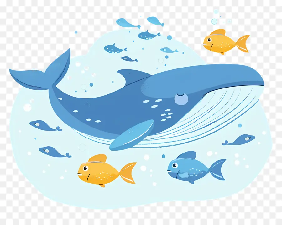 Baleine Et Poisson，Baleine PNG