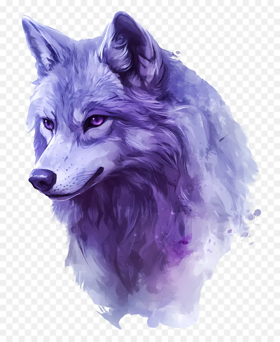 Loup Cool，Loup PNG