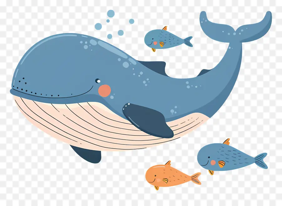 Baleine Et Poisson，Baleine PNG