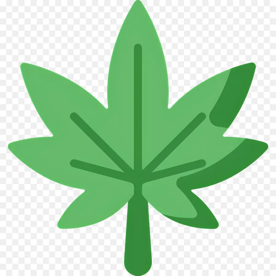 Feuille De Cannabis，Feuille PNG