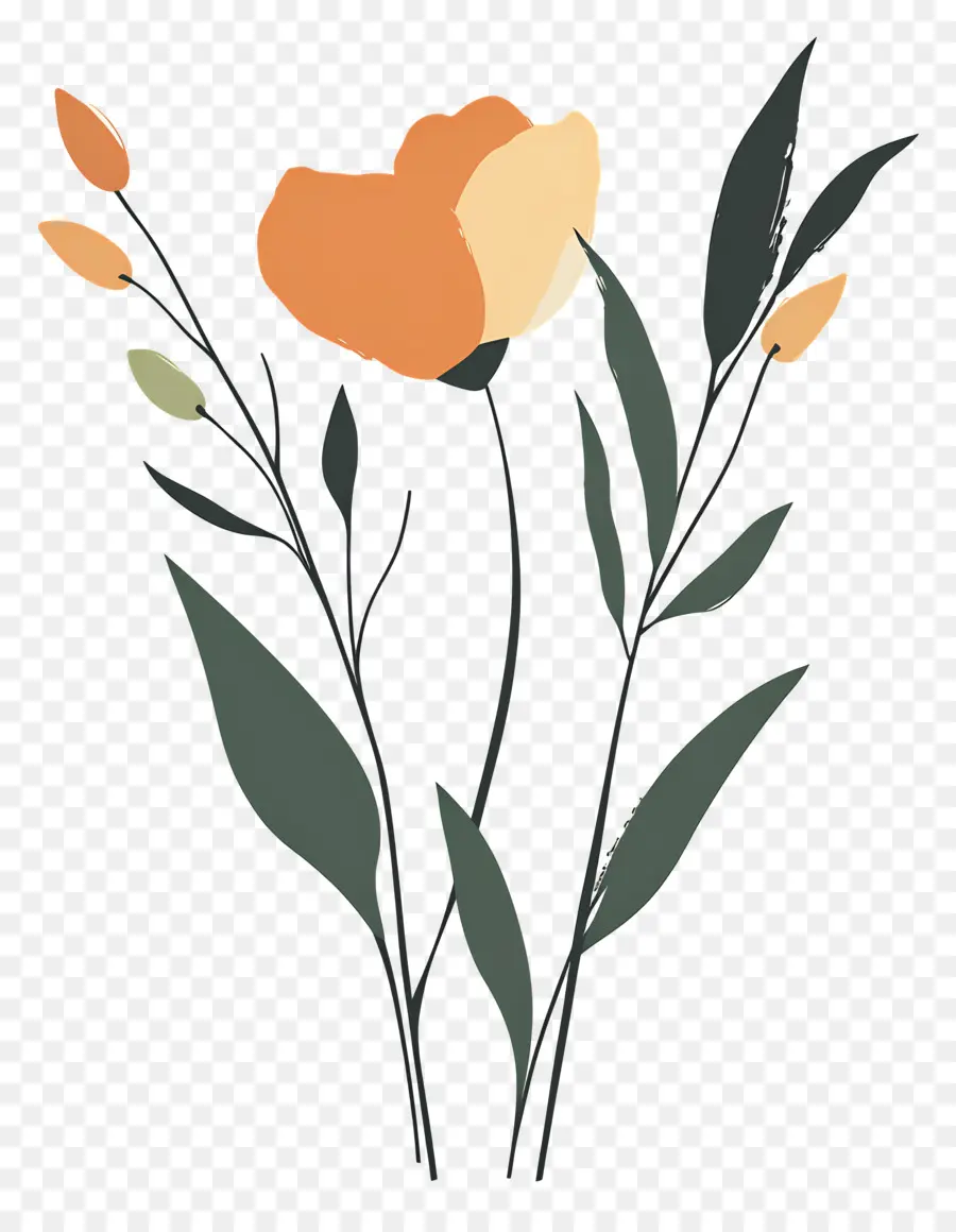 Bouquets，Fleurs Oranges PNG