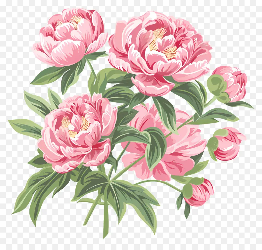 Bouquet De Pivoines，Fleurs Roses PNG