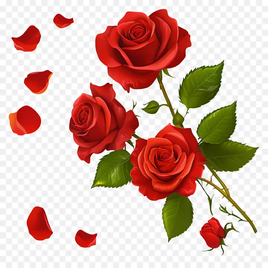 Bouquet De Roses，Rose Rouge PNG