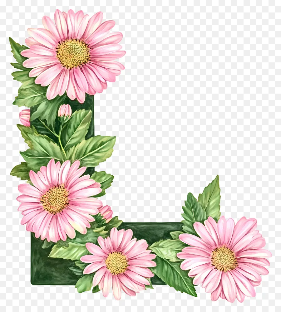 Fleurs De Marguerite，Fleurs Roses PNG