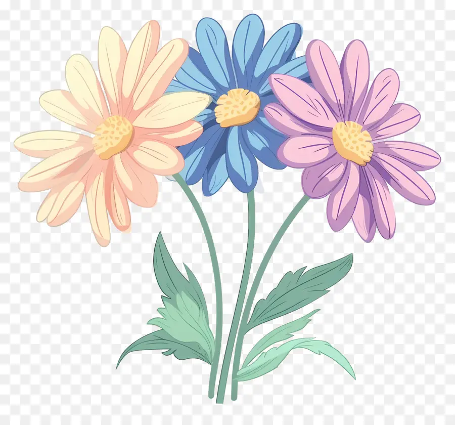 Bouquet De Marguerites，Fleurs PNG