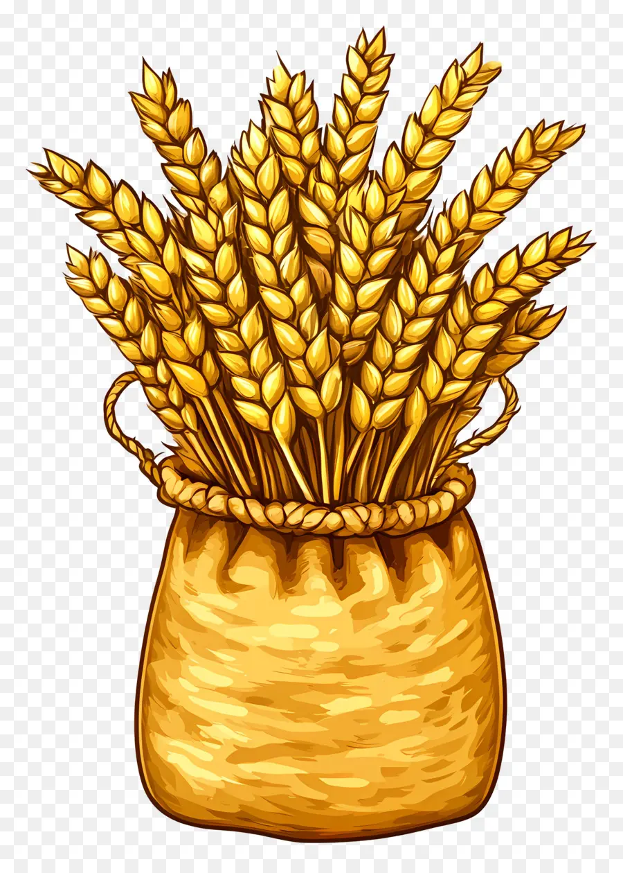 Blé，Grain PNG