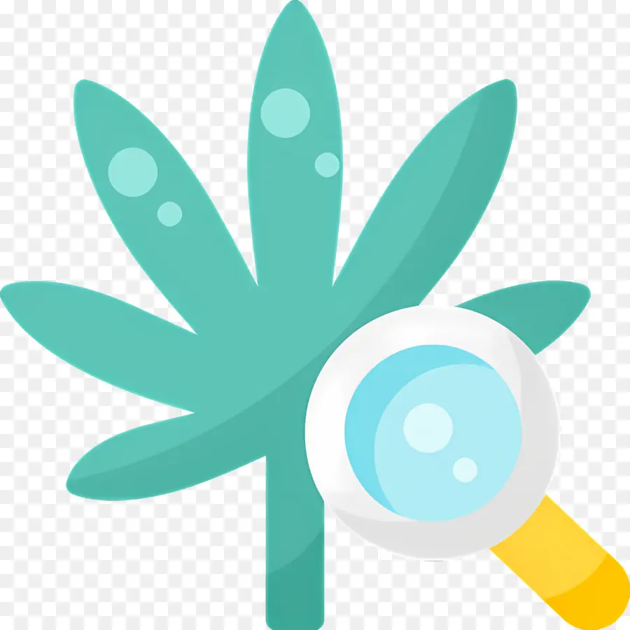 Feuille De Cannabis，Feuille Avec Loupe PNG