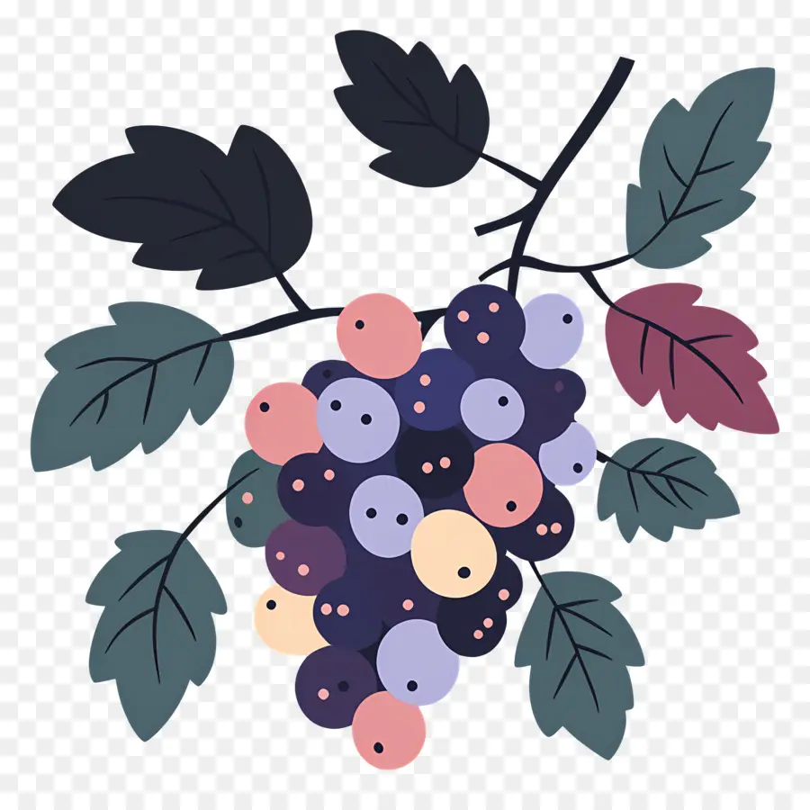 Grappe De Raisin，Raisins PNG