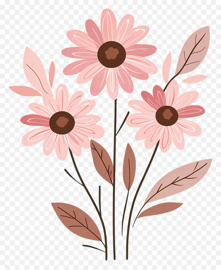 Fleurs De Marguerite Rose，Fleurs Roses PNG