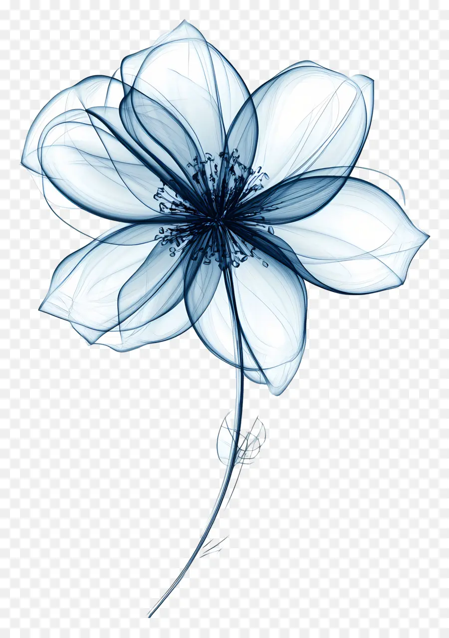 Fleur De Ligne，Fleur Bleue Transparente PNG