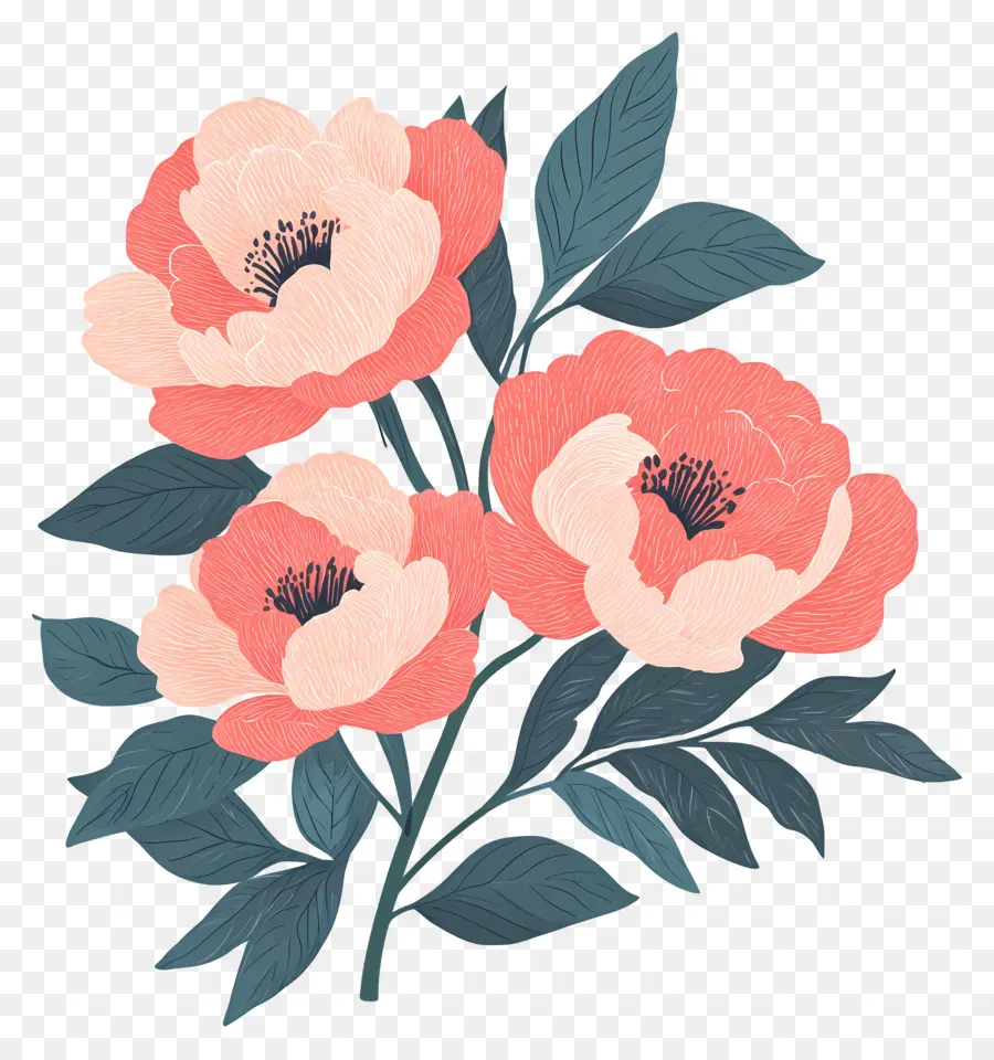 Bouquet De Pivoines，Fleurs PNG