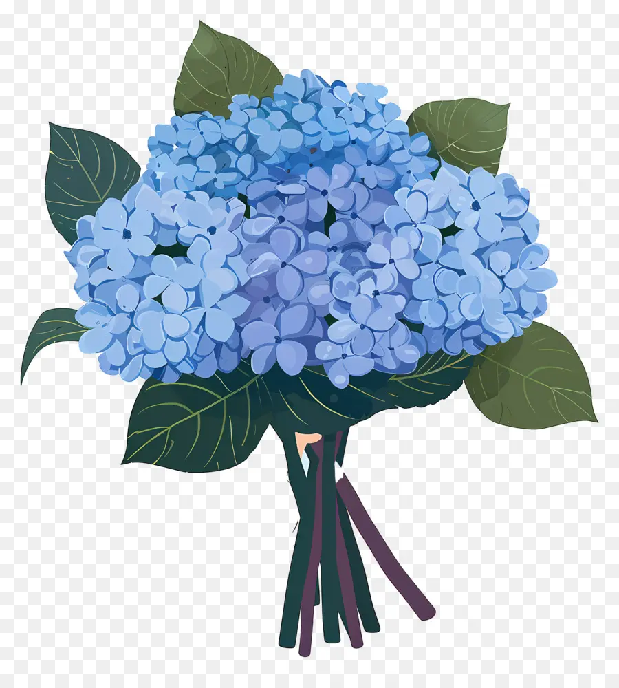 Bouquet D'hortensias，Hortensia PNG